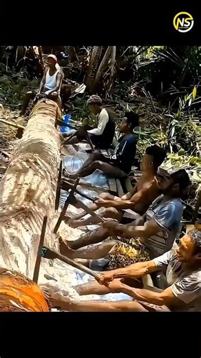 Sago Palm Food rice Process | Nonstop Facts Tamil #shorts #sjtamil #facts #tamil #shorts