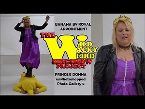 Princess Donna Gallery 2