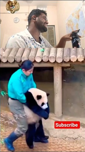 Bad touch Kartehoo 😂🤣 #shorts #ytshorts #youtubeshorts #newshorts #funnycat #funny #pets #memes