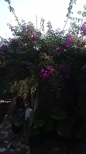 好孕甜蜜，创意的育儿生活分享