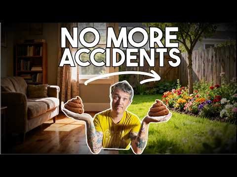 How To Toilet Train Your Puppy