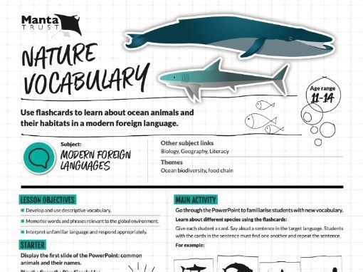 Manta Trust - Nature Vocabulary (English as a Foreign Language: Describing animals and environment) | Teaching Resources