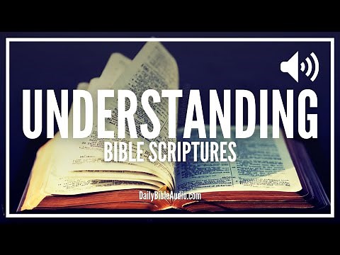 Bible Verses About Understanding | Encouraging Scriptures For Understanding and Discernment