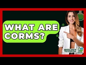 What Are Corms? - Biology For Everyone