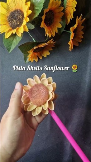 Pista Shell Sunflower 🌻 #diycrafts #pistashellart #sunflower #shorts #youtubeshorts
