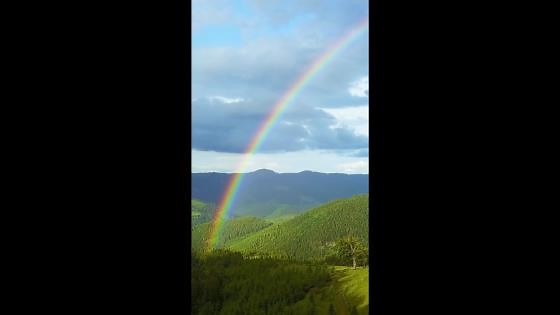 Rainbows From Above: Awe-Inspiring Drone Views of Nature's Colors.