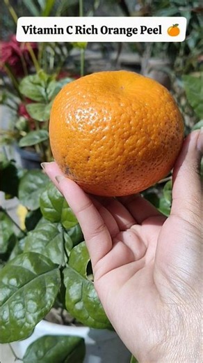 World's Best Vitamin C Face Pack | Get Glowing Glass Skin | #shorts #glowingskin #viral #suntan