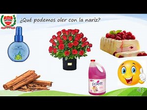 CONOCEREMOS EL SENTIDO DEL OLFATO