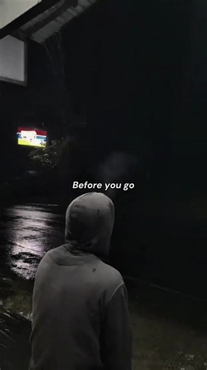 Before You Go Lyrics | Lewis Capaldi Song Overlay