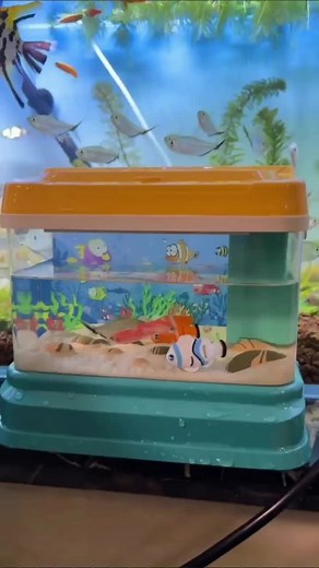 Aquarium simulation fish tank#toy #Children #foryou #tkmademebuyit #fyp #funnytoys #Simulation fishing toy#aquarium