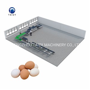[Hot Item] Automatic Hen Duck Egg Cleaning Machine Egg Washer Washing Machine