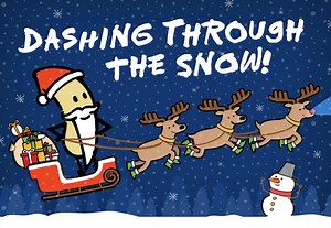 Merry Christmas from our nutty family to yours! 🎄 | Nuts.com