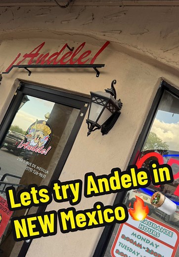 Authentic Mexican Cuisine Experience at Andele