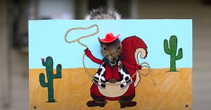 These Are the Top-Trending YouTube Videos of 2020