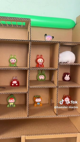 Hamster Marble on TikTok