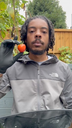 Extracting the DNA from a tomato 🍅 #science #chemistry #experiment | Big Manny