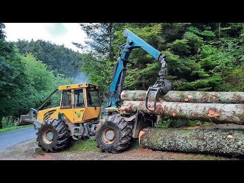 Débusqueur HSM 904/ Débardage gros bois/ Skidder