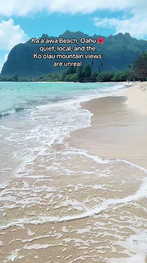 Kaʻaʻawa Beach (Windward Oʻahu) is a great stop because it’s quiet, local, and insanely scenic—turquoise water in front with the Koʻolau mountains rising right behind you. It’s perfect for a peaceful beach break, a quick picnic, and those “pull over and stare” views during a Windward/North Shore drive. ##oahu##hawaii##kaaawabeach##travel##fyp