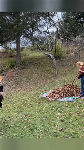 6.2K views · 234 reactions | TV Cooking on Reels | Facebook