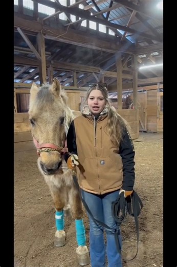 Today’s CTE Month spotlight features a student-made video highlighting horse care students as they practice safe handling and communication techniques while lunging a horse. #CTEMonth | WSWHE BOCES