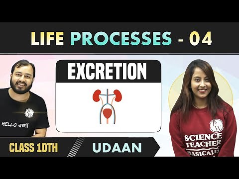 Life Processes 04 | Excretion | Class 10 | NCERT | Udaan