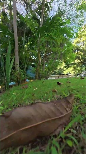 They’re Coming… TIE Fighter Fly-By Cinematic! #philippines #travel#shorts #viral