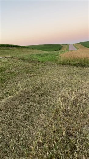 Shannon Schroeder on TikTok