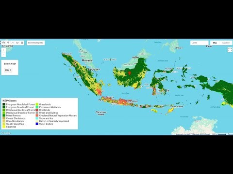 Mapping Land Cover Dynamics (2001–2023) Using MODIS 500 m Data in Google Earth Engine