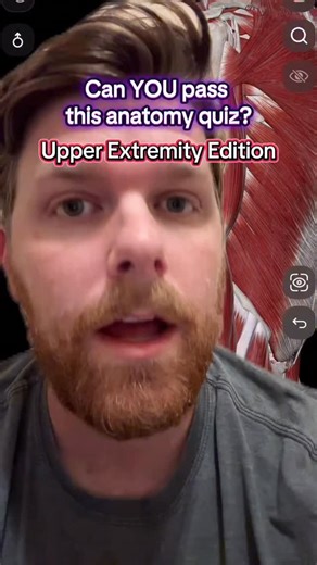 Gunnar Hollier, DC on Instagram: "Anatomy Quiz: Upper Extremity - - - - - - - #anatomyandphysiology #medschool #nursingschool #nursingstudent #anatomy #medicalschool #nursingstudents #anatomystudy #nursing #medstudent"