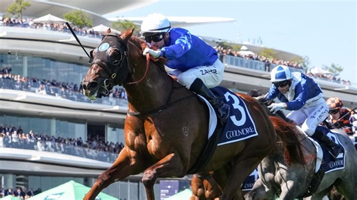 Champions Sprint runner-by-runner form analysis and tips