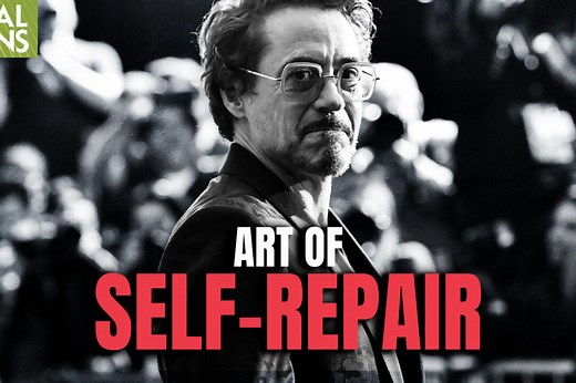 What Drives the Bipolar Brain? How is Life Revived After a Bipolar Crash?