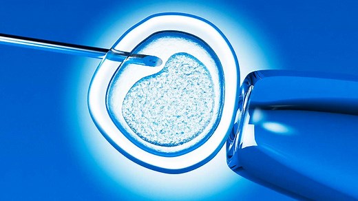 Scientists are currently limited to stopping human embryo growth at 14 days — but now, the International Society for Stem Cell Research wants to rethink that limit | Seeker by The Verge