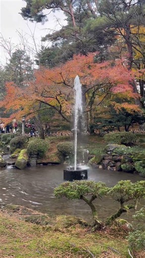 金沢 兼六園噴水⛲️ (2025-11-23 )