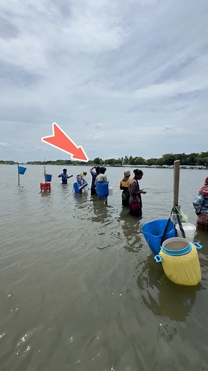 91K views · 944 reactions | Snakehead Angler Amar on Reels | Facebook