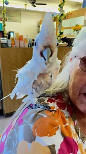 Roseanne Barr on Instagram: "Greetings Earthlings! Especially animals! Make sure to send me more videos like this #roseannebarrpodcast"