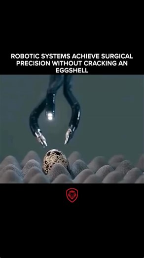 VALUETAINMENT on Instagram: "Robotic technology has reached a level of precision where machines can perform surgery on an egg without cracking its shell. Using extreme steadiness and accuracy, robotic systems can carefully open an eggshell, operate on the yolk, and seal it back up as if it were living tissue. This fine-tuned control is transforming medicine, enabling once-impossible procedures such as delicate eye surgeries and high-risk heart operations to be performed with greater safety and p