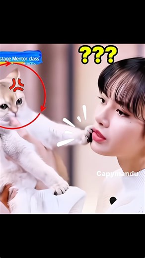 Lisa kiss got rejected by her cat #blackpinkedit #lalisa #lisa