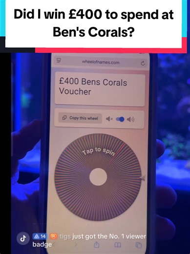Did I win £400 to spend at @bens_corals ? With 383 entries and a massive £400 to win, I'm on the edge of my seat! #Competition #winner #coral #reef #spinthewheel