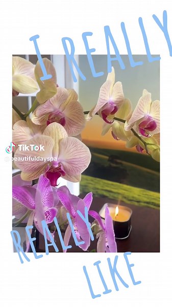 Embark on the new year with a rejuvenated spirit! 🌟 Start 2024 with tranquility and self-care at A Beautiful Day Spa. Here's to a year filled with relaxation, positive vibes, and endless beauty. Cheers to a beautiful and blissful New Year! 🎉 #NewYearNewYou #SpaTime2024 #Beautifuldayspa #lamassage #pasadenacalifornia #pasadena #fyp