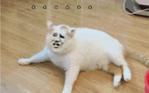 nsoled实录 创之轨迹 无论是过场动画还是操作都很卡 果然法老控的游戏不在乎任天堂机器玩家 要不是我PSV平台只到闪2 我也不会买ns的