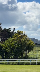 1.1K views · 45 reactions | The first of two Luftwaffe/German Air Force Airbus A400Ms landing back to back at RNZAF Base Auckland at Whenuapai. You can see the second turning into downwind in the background @team_luftwaffe #luftwaffe #germanairforce #gaf #germany @airbus #airbus @airbus_defence #a400m #atlas #cargo #transporter #freighter @nzdefenceforce #rnzaf #nzdf #whenuapai #auckland #afb #airforcebase #nz #newzealand #avgeek #aviation | Nick Young Photos | Facebook