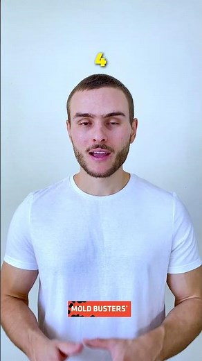 5 Fun Facts About Mold You Never Knew! 🍄 Mold Busters