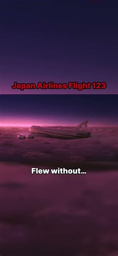 Planes that flew without ___