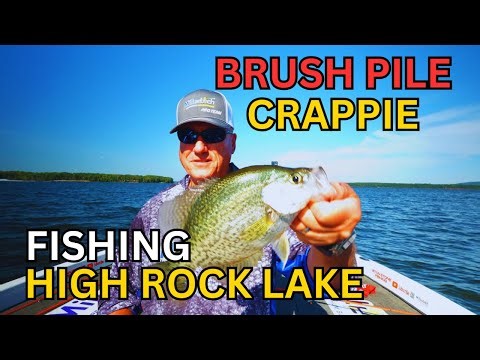 “CRAPPIE STACKED” on Brush Piles at High Rock Lake!