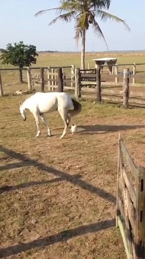 Get up to 20% off on Cygnett products! Shop now at Power Mac Center or The Loop store near you.