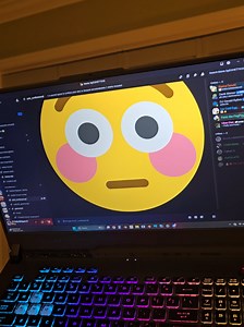 what is happening with discord why are my emojis taking up my whole screen 😭😭😭 #memes #computerbug #discord