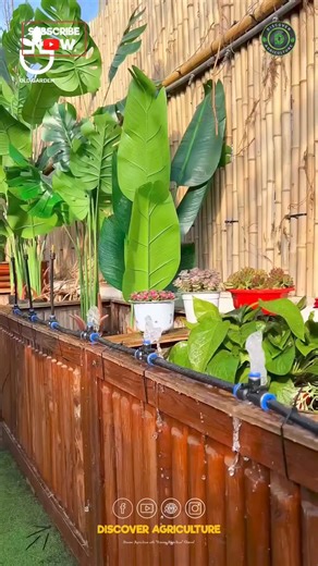 4.4K views · 21 reactions | Upgrade your gardening game with our...