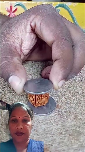 This is the same miraculous Rudraksha where its quality can be tested by keeping it between two c...