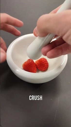 🧬🍓 “Strawberry DNA Extraction 😳 Science You Can SEE!” #shorts #dna #youtubeshorts