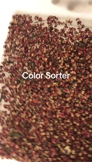 #Peppercolorsorter #Peppersortingmachine #condimentcolorsorter #condimentsortingmachine If there are impurities in the condiment pepper, use the color sorter to purify it and improve the quality of the pepper